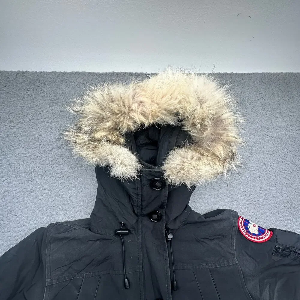 Canada Goose canada goose